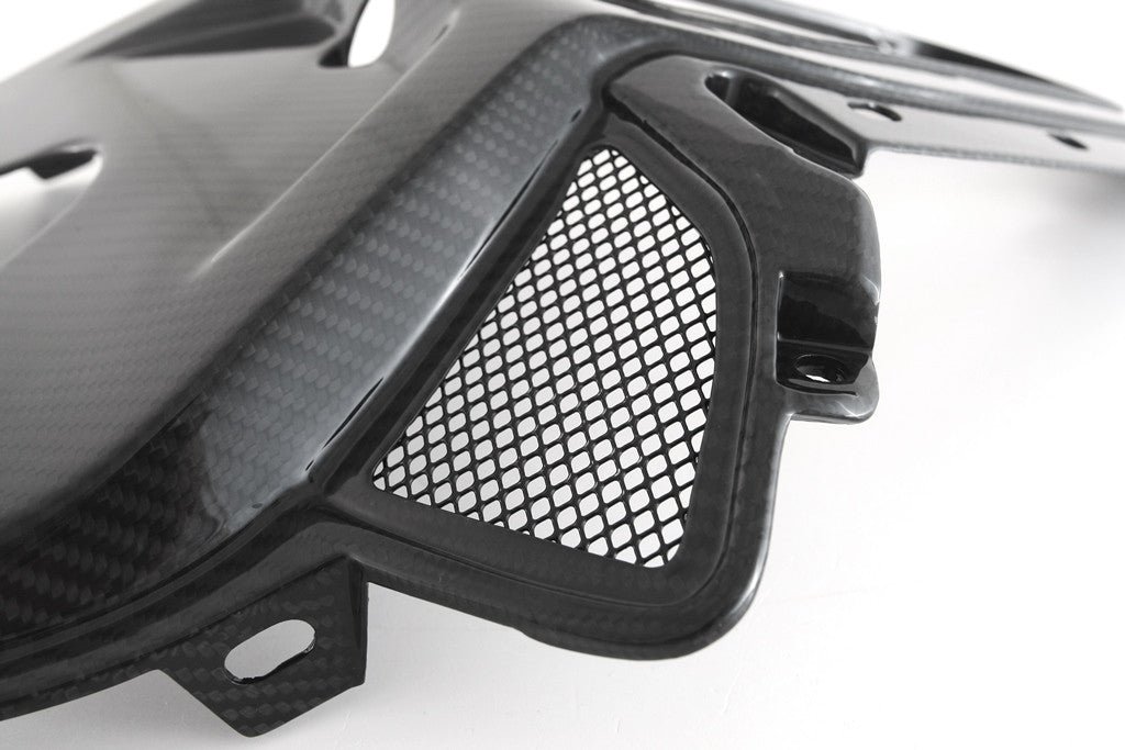 Heckabdeckung Oben Carbon Fullsix BMW S1000RR K67 (19-22)