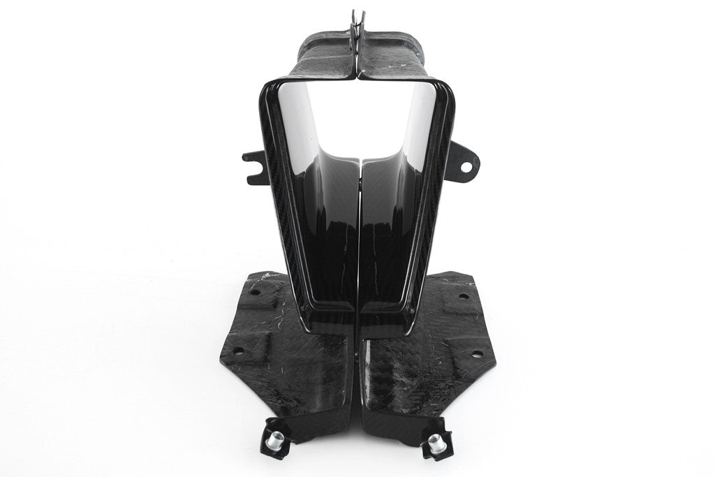 Lufteinlass Carbon Fullsix BMW S1000RR K67 (19-24)