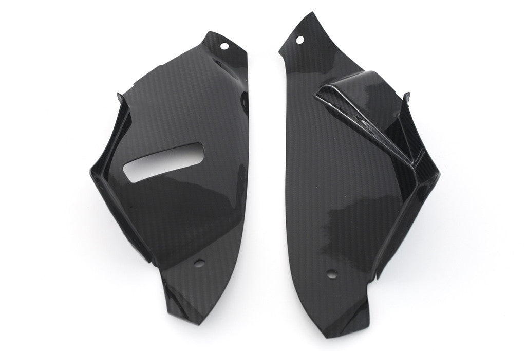 Innenteile Bugspoiler Carbon Fullsix BMW S1000RR K46 (15-18)