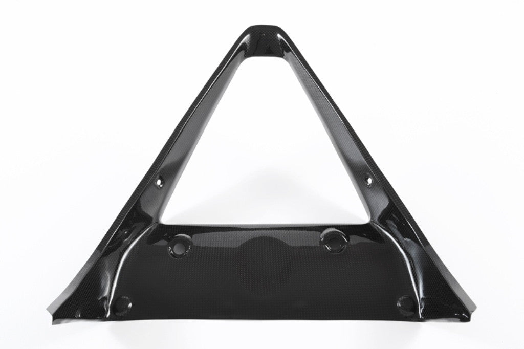 Kühlerverkleidung Carbon Fullsix Ducati Panigale 959 (16-19)