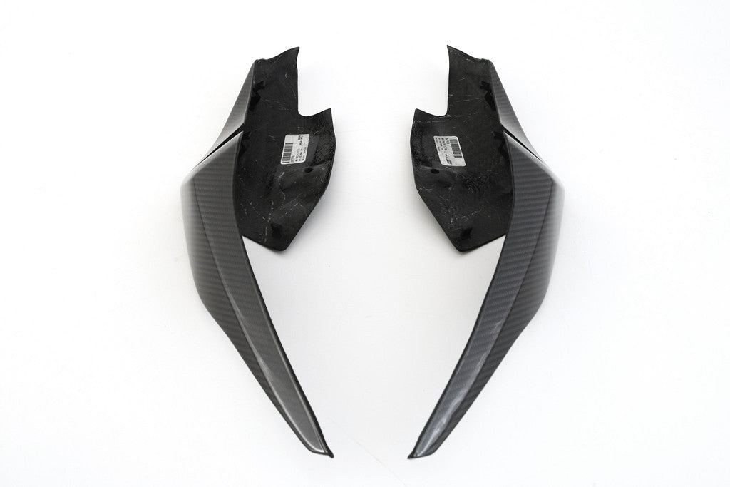 Heckseitenteile Set (links + rechts) Carbon Fullsix BMW S1000RR K67 (19-22)
