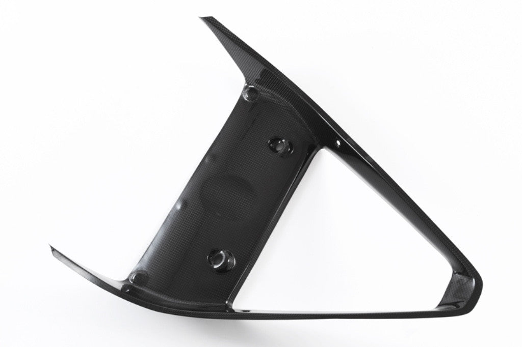 Kühlerverkleidung Carbon Fullsix Ducati Panigale 1299/S (15-18)