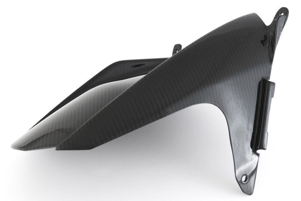 Hinterer Kotflügel Carbon Fullsix BMW S1000RR K67 (19-26)