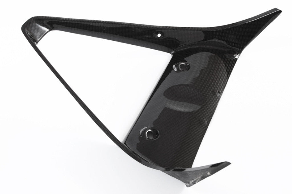 Kühlerverkleidung Carbon Fullsix Ducati Panigale 959 (16-19)