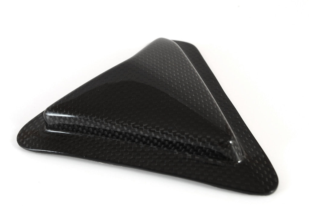 Slider Schwingenschutz Carbon Fullsix Ducati Panigale 1299/S (15-18)